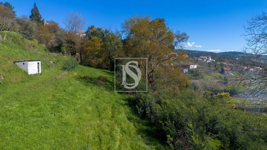 Terreno Agricola ou Rústico para Venda em Ancede e Ribadouro Foto 22
