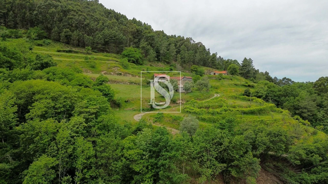 Moradia T2 para Venda em Amarante (São Gonçalo), Madalena, Cepelos e Gatão Foto 19