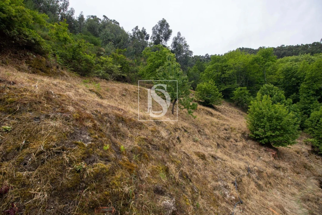 Moradia T2 para Venda em Amarante (São Gonçalo), Madalena, Cepelos e Gatão Foto 28