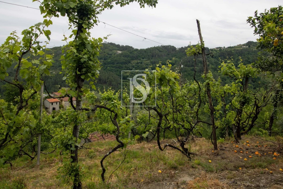 Moradia T2 para Venda em Amarante (São Gonçalo), Madalena, Cepelos e Gatão Foto 33
