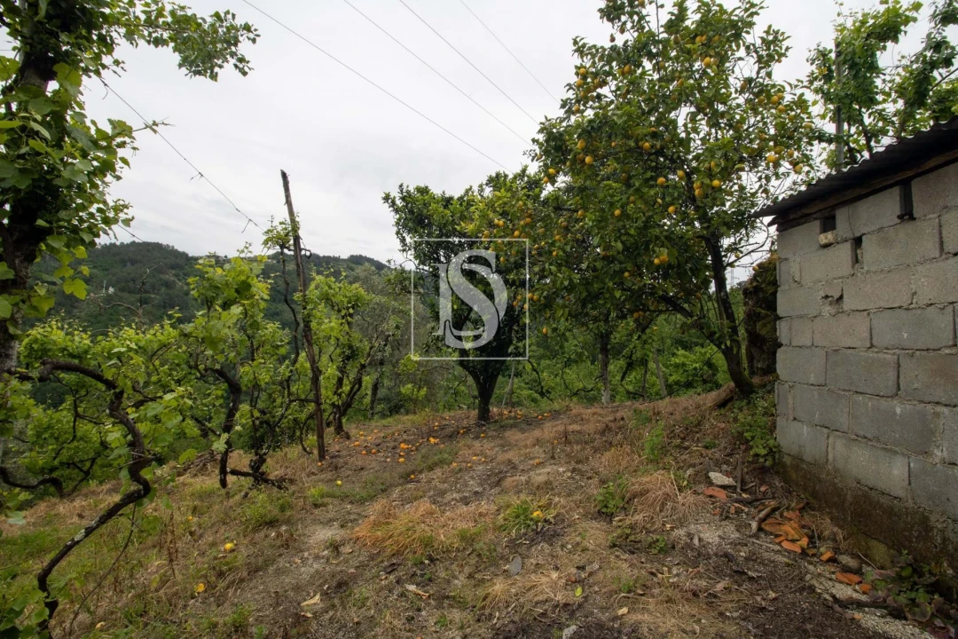 Moradia T2 para Venda em Amarante (São Gonçalo), Madalena, Cepelos e Gatão Foto 35