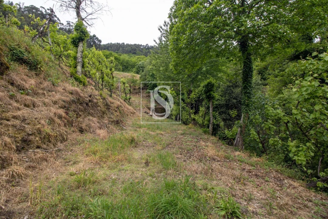 Moradia T2 para Venda em Amarante (São Gonçalo), Madalena, Cepelos e Gatão Foto 36