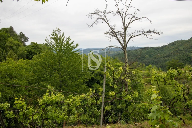 Moradia T2 para Venda em Amarante (São Gonçalo), Madalena, Cepelos e Gatão Foto 34
