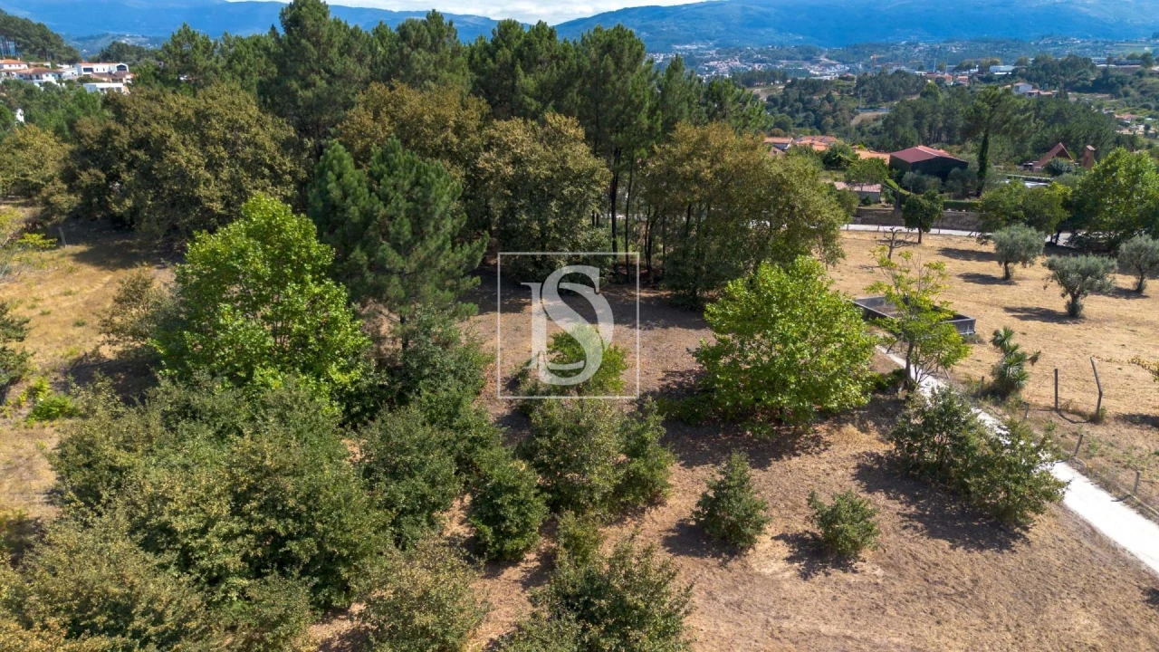 Terreno para Venda em Fregim Foto 7