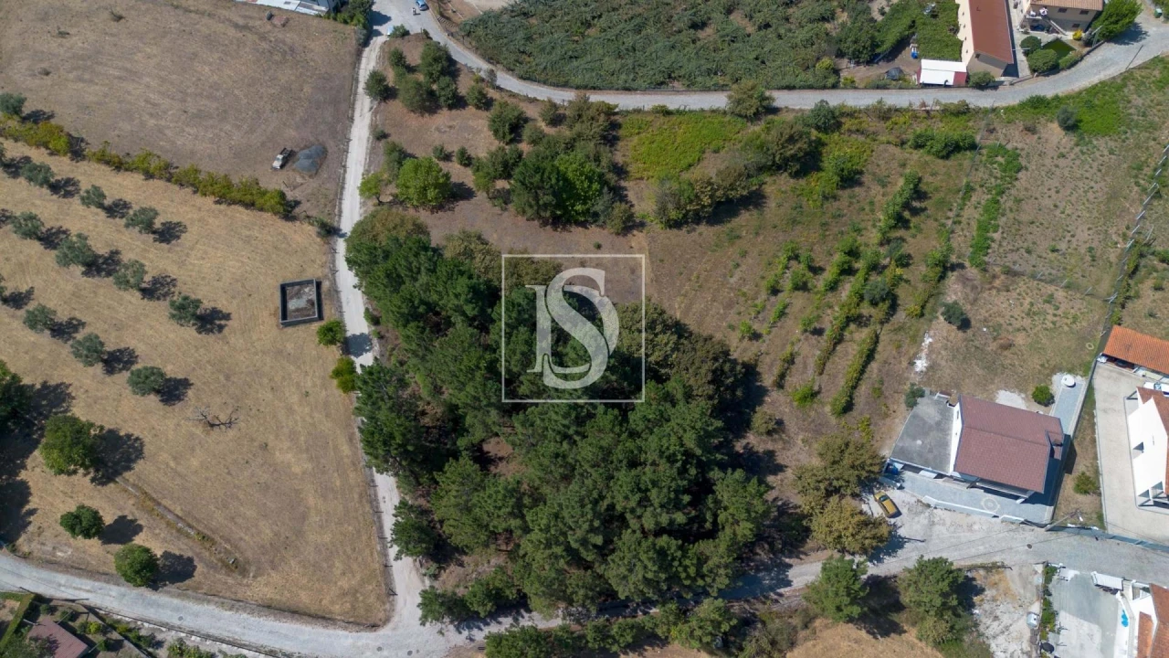 Terreno para Venda em Fregim Foto 8