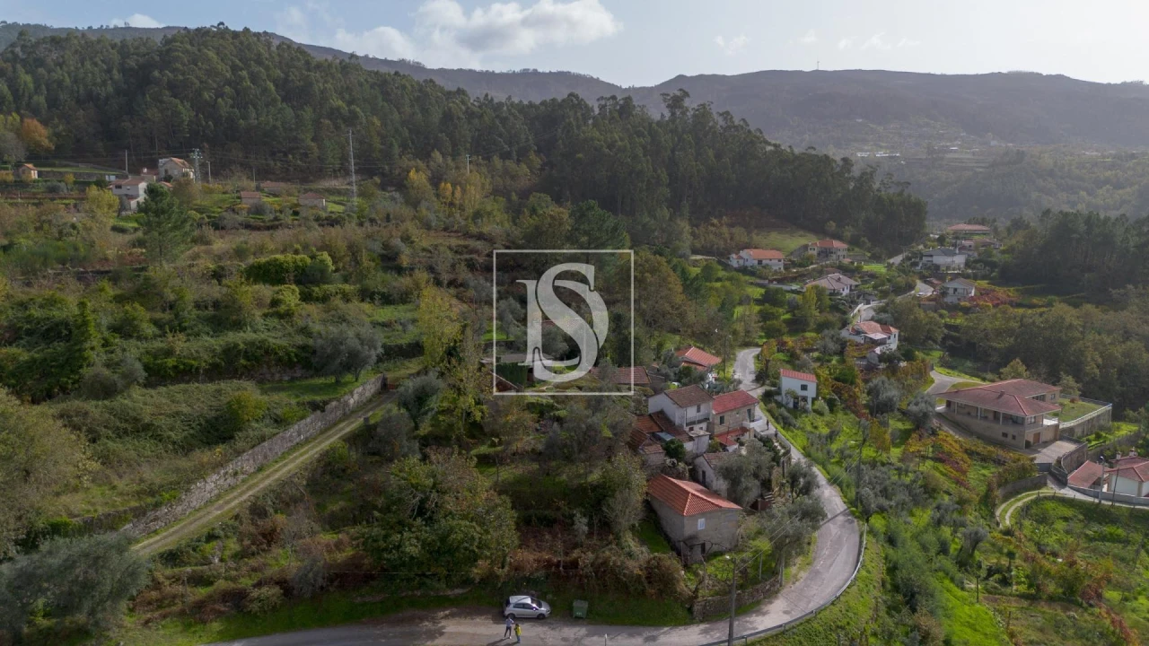 Terreno para Venda em Jazente Foto 11