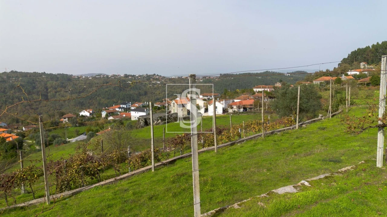 Terreno para Venda em Jazente Foto 16