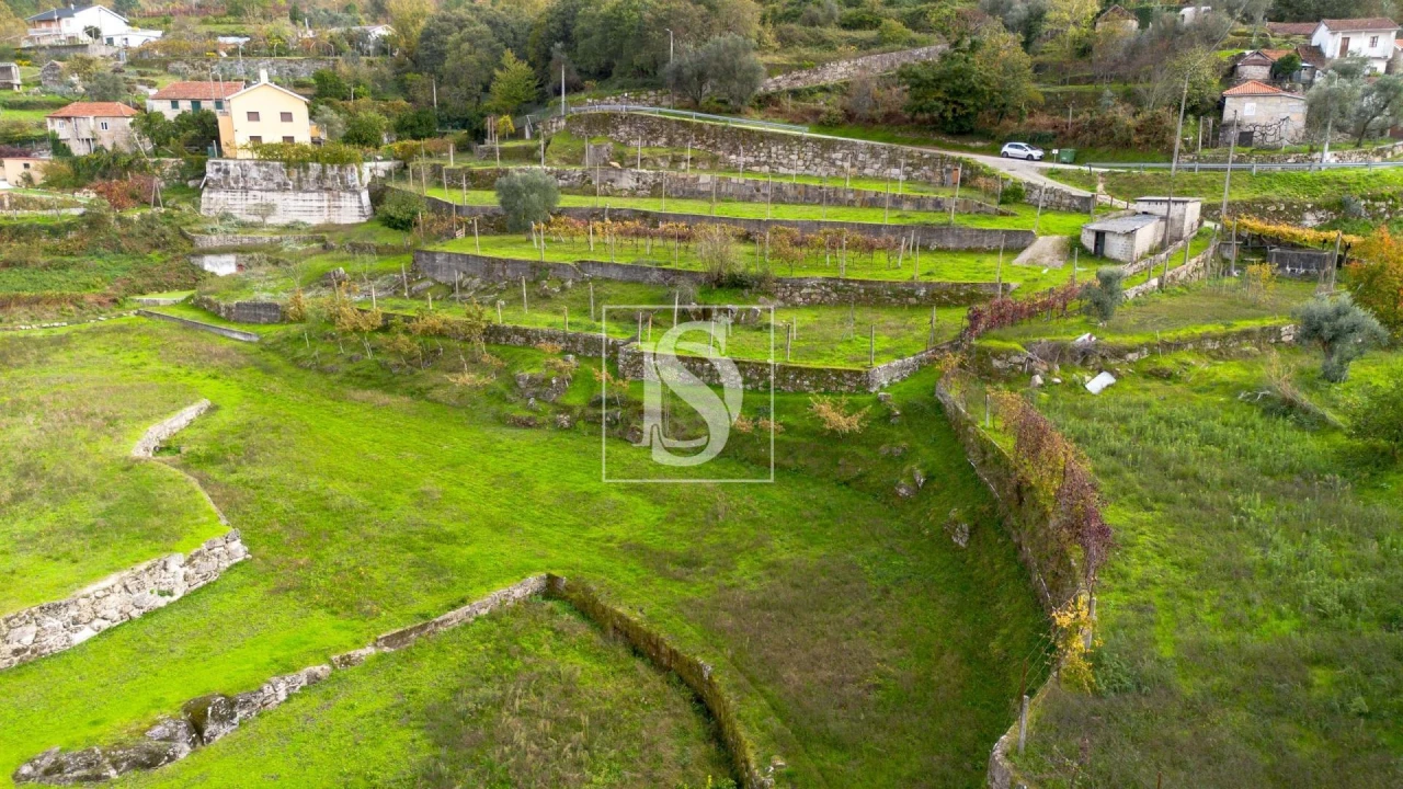 Terreno para Venda em Jazente Foto 2