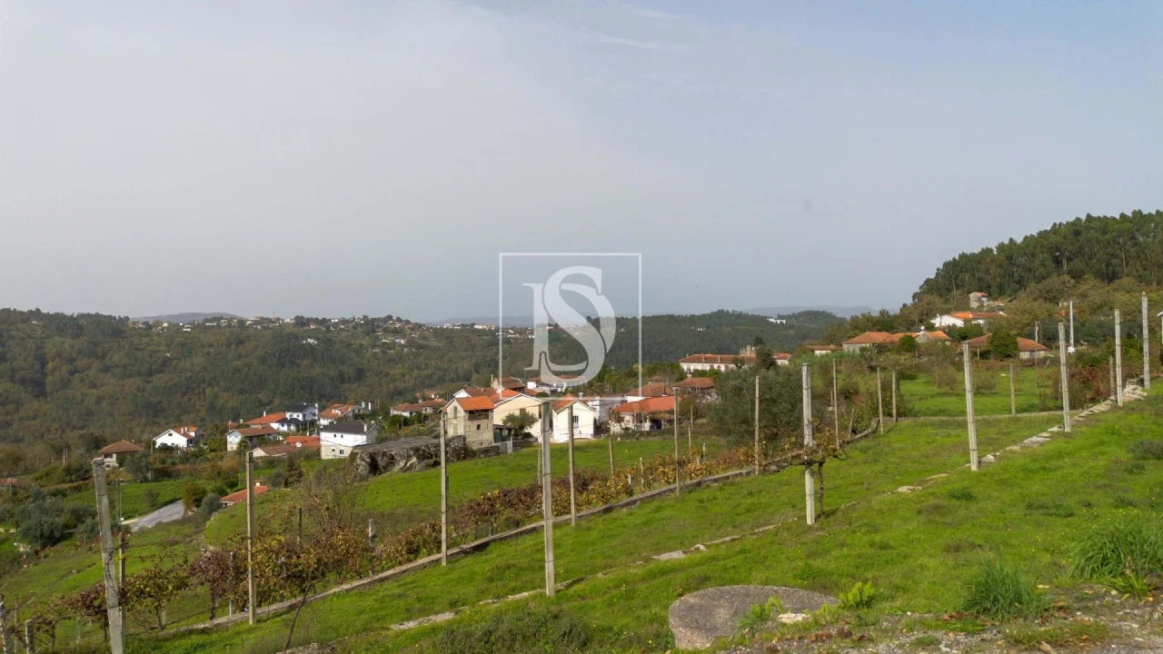 Terreno para Venda em Jazente Foto 6