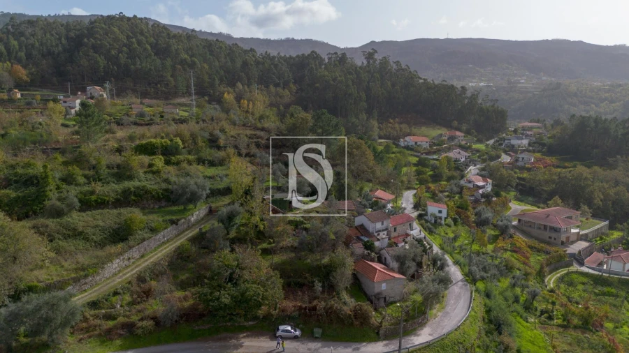 Terreno para Venda em Jazente Foto 11