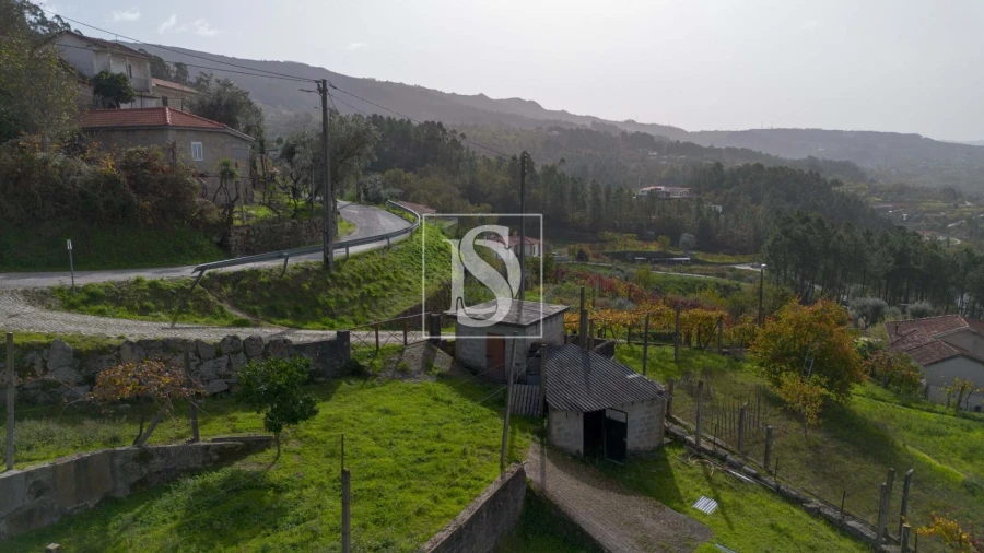 Terreno para Venda em Jazente Foto 12