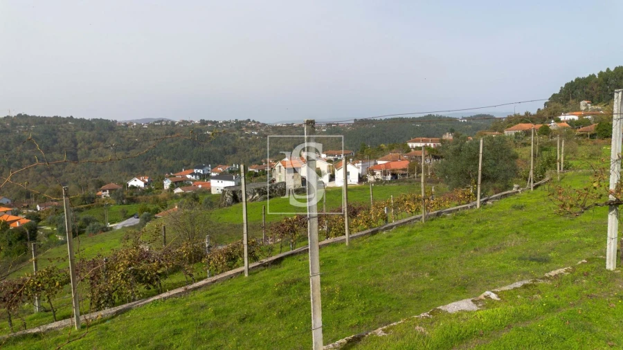 Terreno para Venda em Jazente Foto 16