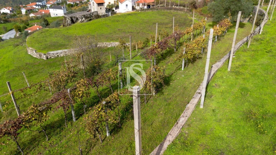 Terreno para Venda em Jazente Foto 20