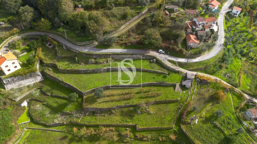 Terreno para Venda em Jazente Foto 7
