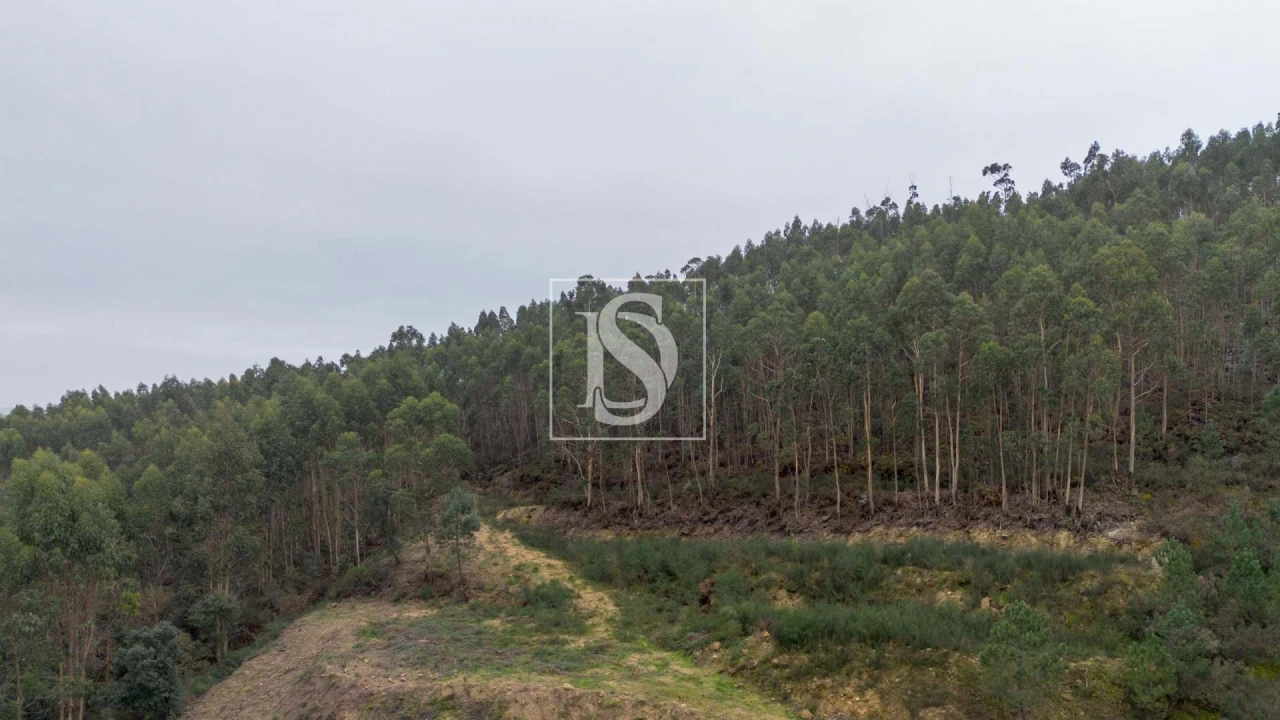 Terreno para Venda em Vandoma Foto 7