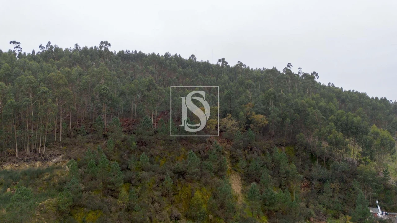 Terreno para Venda em Vandoma Foto 8