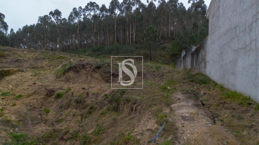 Terreno para Venda em Vandoma Foto 19