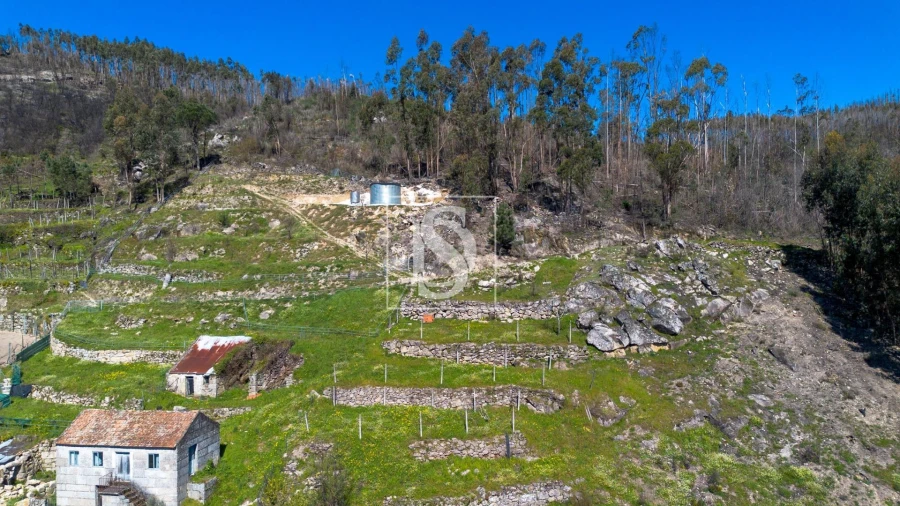 Moradia T3 para Venda em Ancede e Ribadouro Foto 6