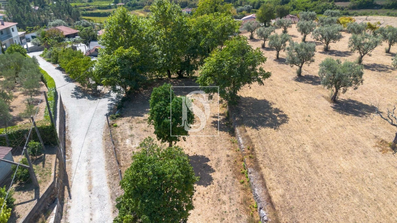 Terreno para Venda em Fregim Foto 6