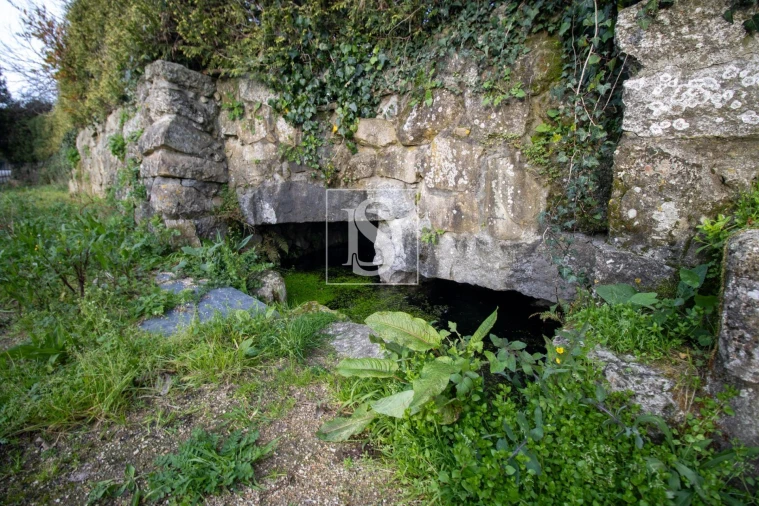 Moradia para Venda em Amoreira da Gândara, Paredes do Bairro e Ancas Foto 16