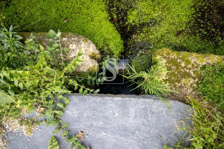 Moradia para Venda em Amoreira da Gândara, Paredes do Bairro e Ancas Foto 17