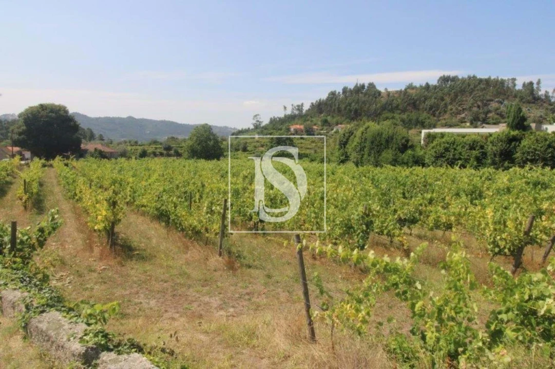 Terreno Agricola ou Rústico para Venda em Salvador do Monte Foto 2