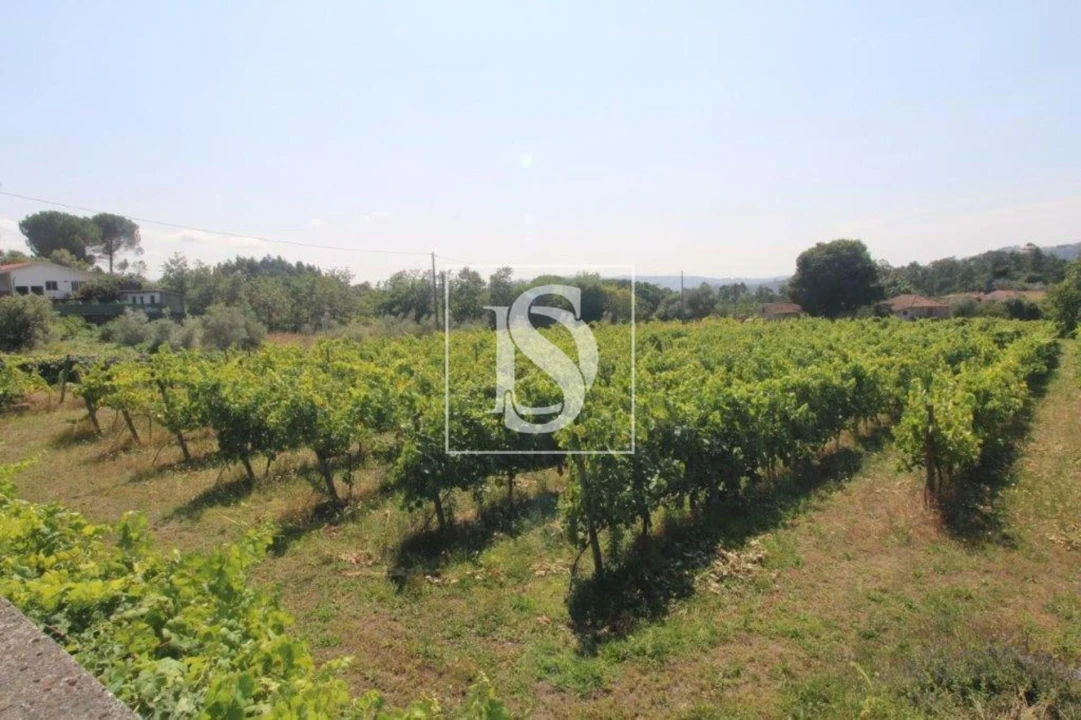 Terreno Agricola ou Rústico para Venda em Salvador do Monte Foto 5