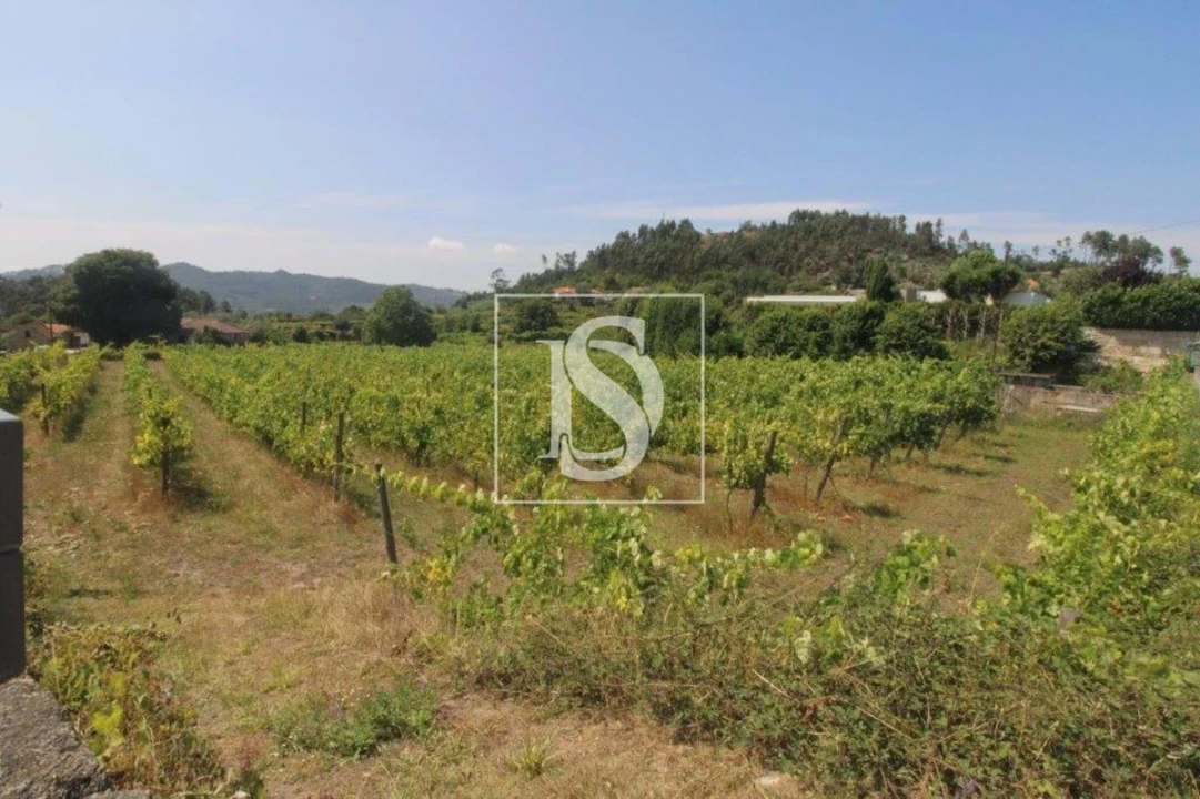 Terreno Agricola ou Rústico para Venda em Salvador do Monte Foto 8