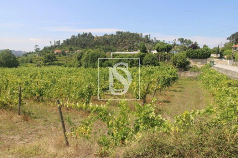 Terreno Agricola ou Rústico para Venda em Salvador do Monte Foto 1