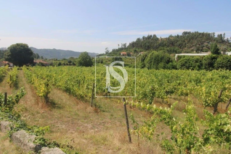 Terreno Agricola ou Rústico para Venda em Salvador do Monte Foto 2