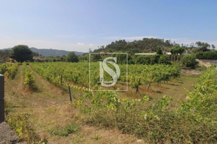 Terreno Agricola ou Rústico para Venda em Salvador do Monte Foto 8