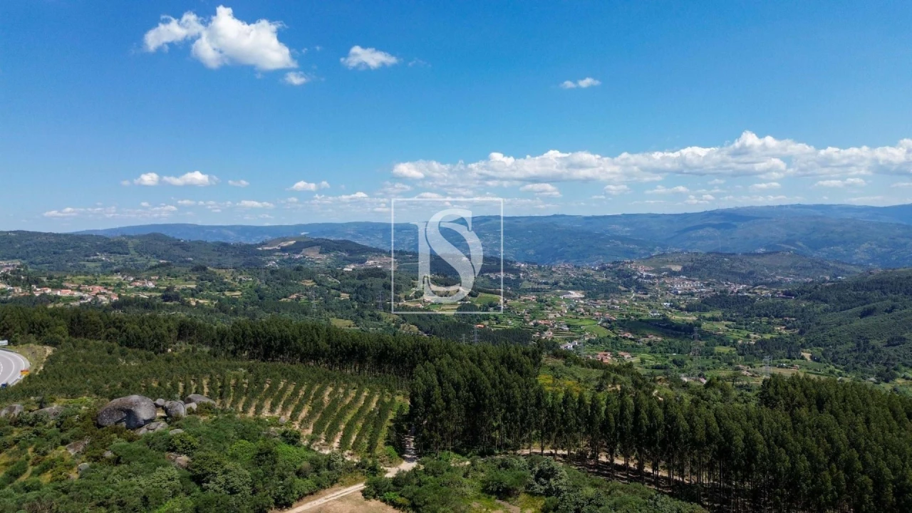 Terreno Agricola ou Rústico para Venda em Soalhães Foto 10
