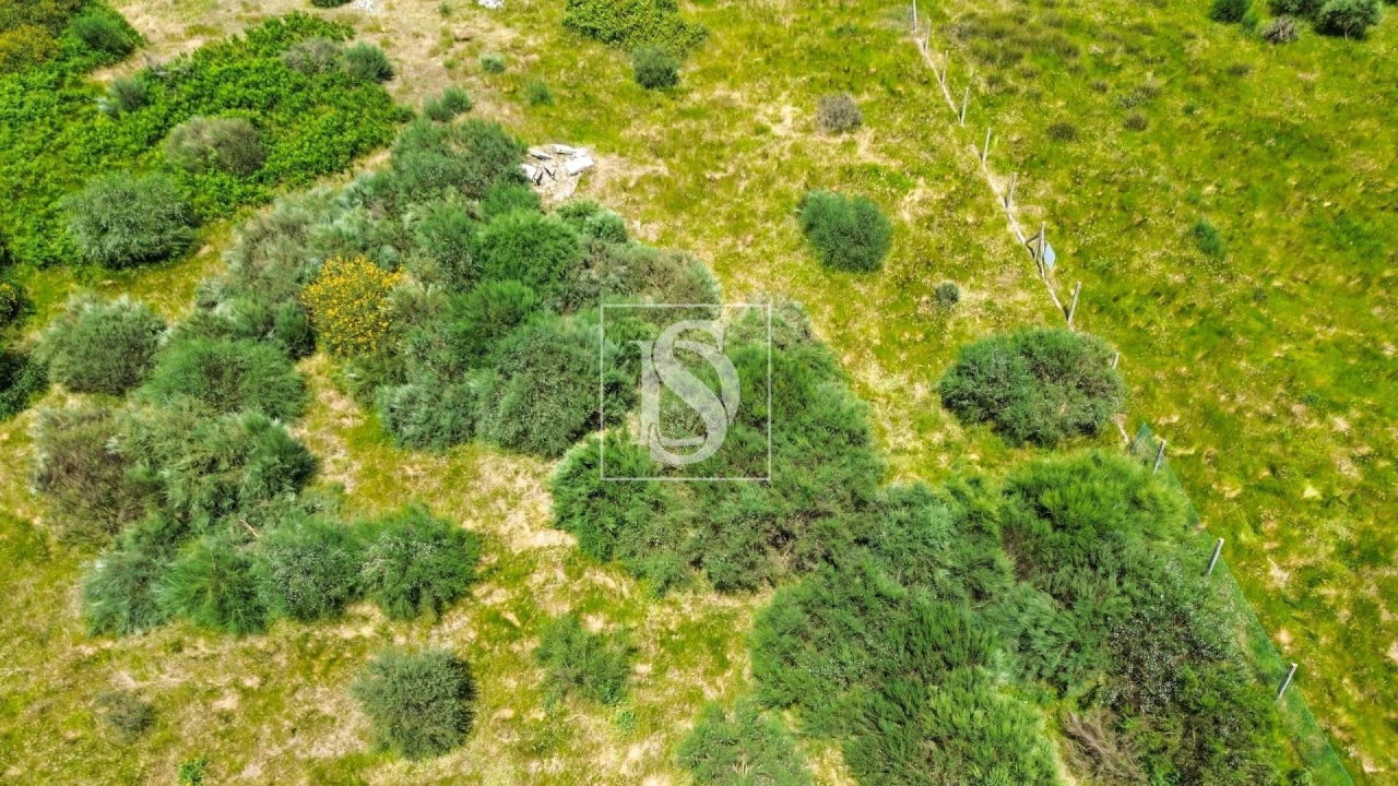 Terreno Agricola ou Rústico para Venda em Soalhães Foto 11