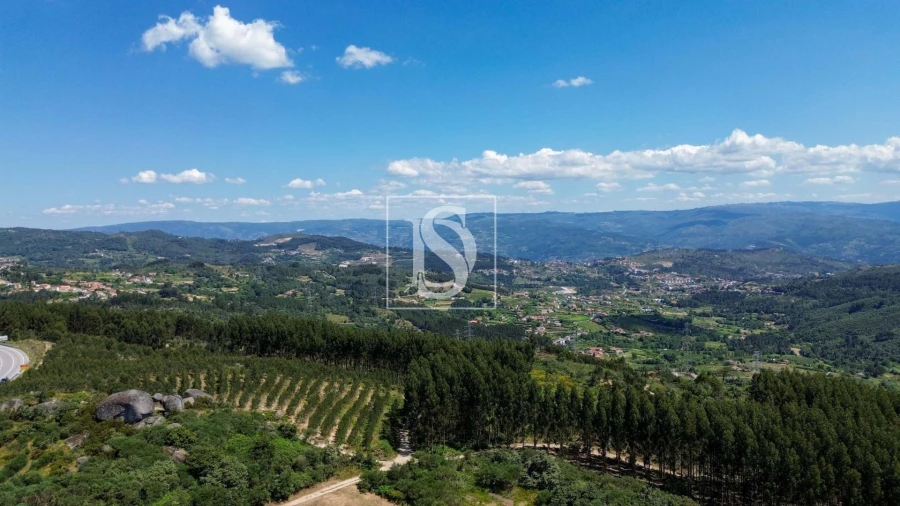 Terreno Agricola ou Rústico para Venda em Soalhães Foto 10