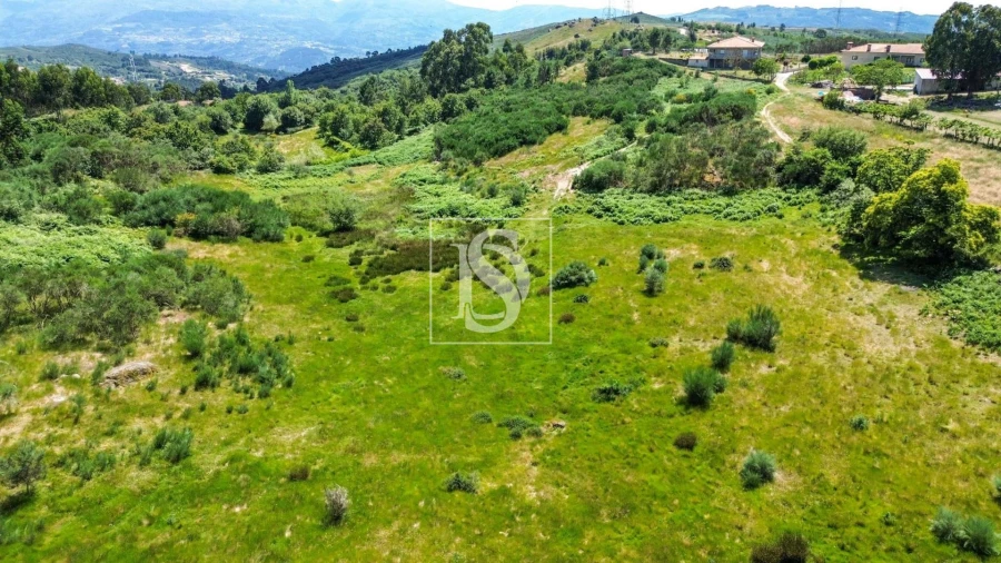 Terreno Agricola ou Rústico para Venda em Soalhães Foto 9