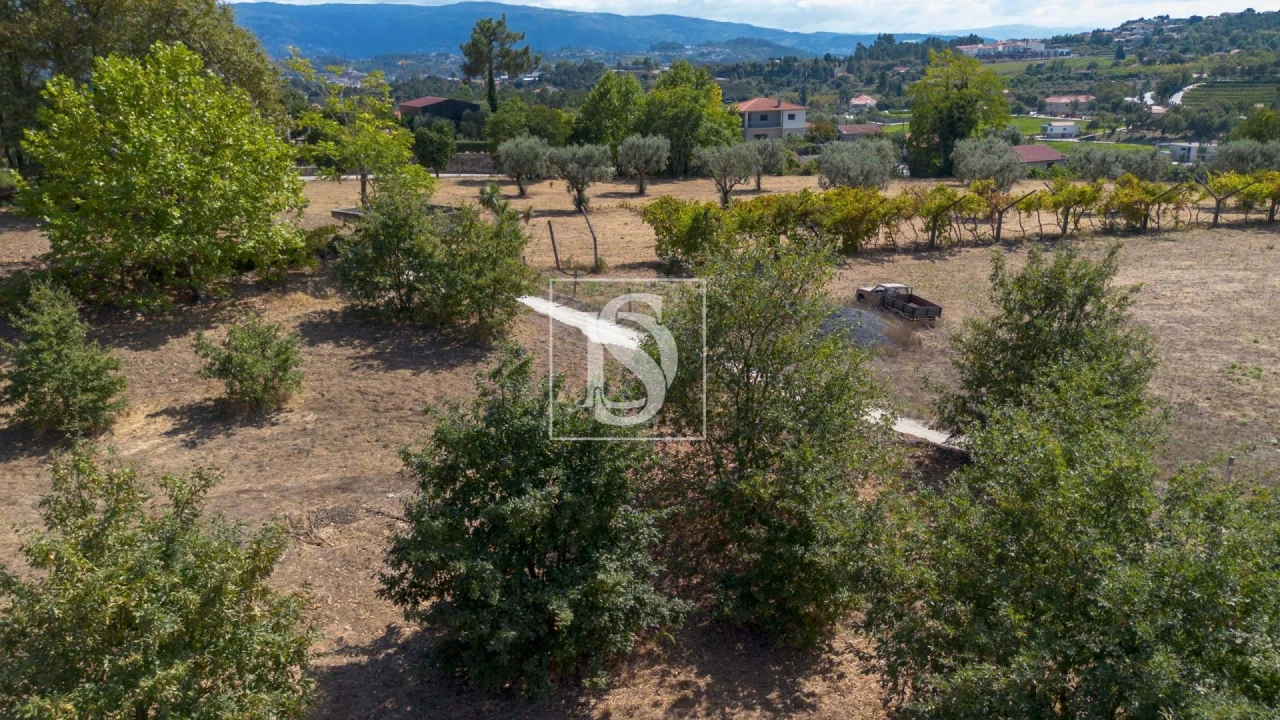 Terreno Agricola ou Rústico para Venda em Fregim Foto 4