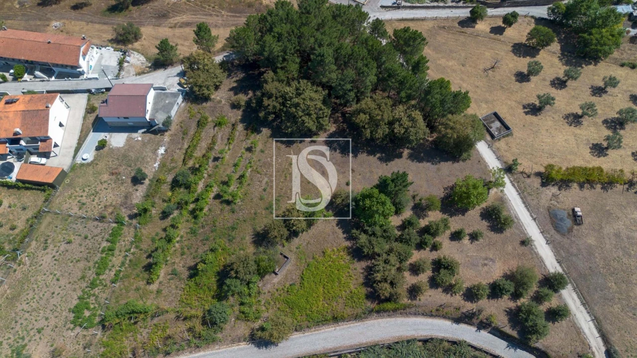 Terreno Agricola ou Rústico para Venda em Fregim Foto 5