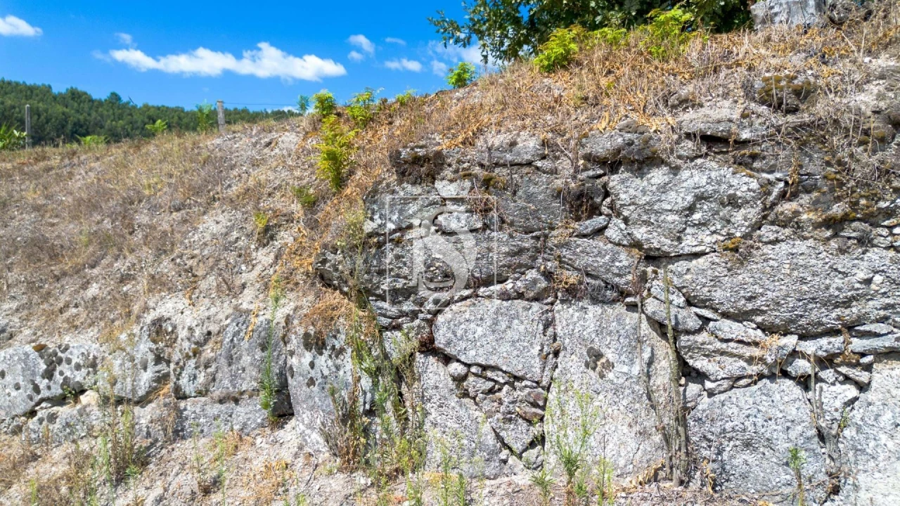 Terreno Agricola ou Rústico para Venda em Fregim Foto 8