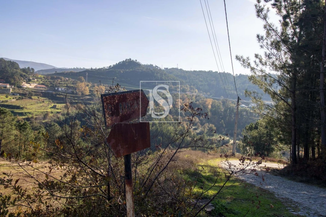Terreno Agricola ou Rústico para Venda em Gondar Foto 27