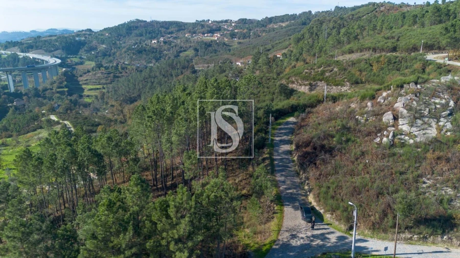 Terreno Agricola ou Rústico para Venda em Gondar Foto 15