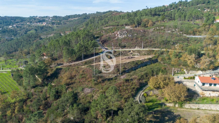 Terreno Agricola ou Rústico para Venda em Gondar Foto 3