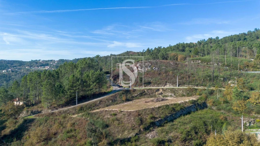 Terreno Agricola ou Rústico para Venda em Gondar Foto 4