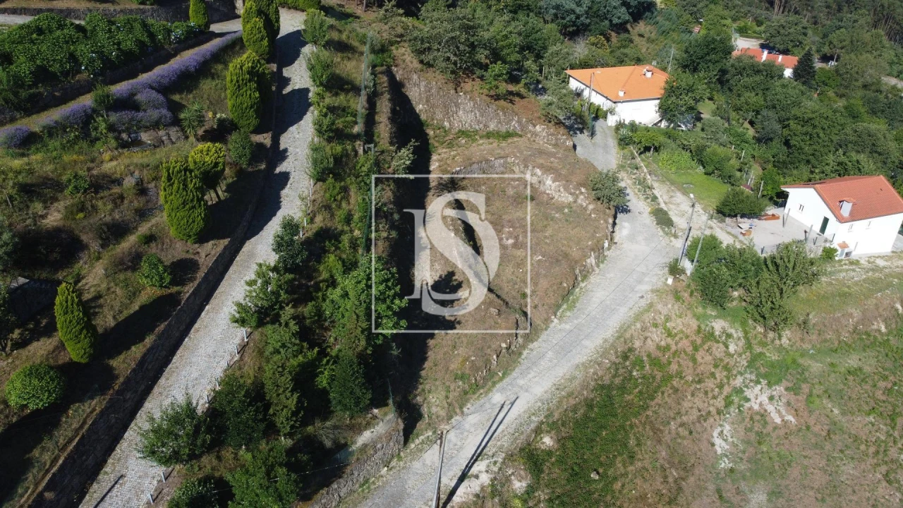 Terreno Agricola ou Rústico para Venda em Amarante (São Gonçalo), Madalena, Cepelos e Gatão Foto 9