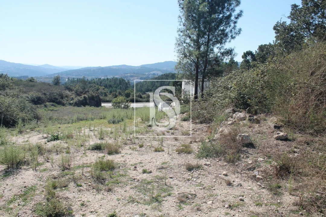 Terreno para Venda em Vila Caiz Foto 6