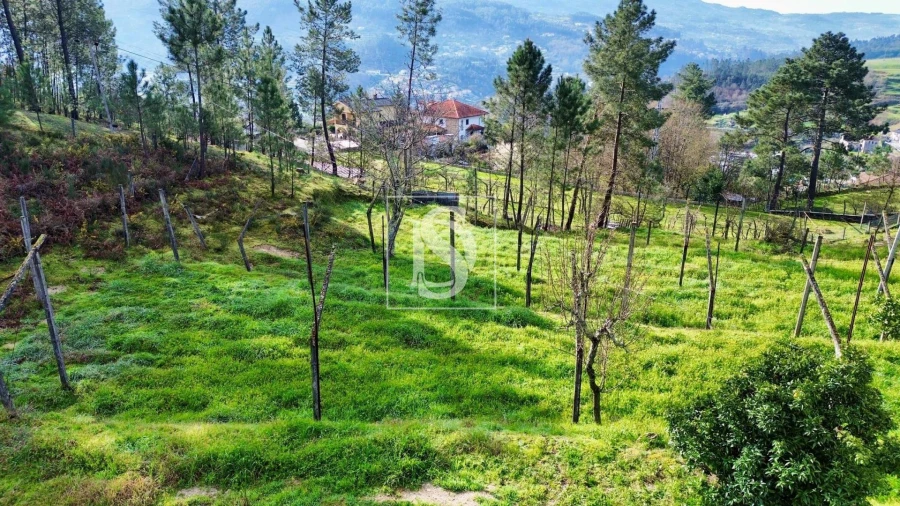Terreno Agricola ou Rústico para Venda em Amarante (São Gonçalo), Madalena, Cepelos e Gatão Foto 1
