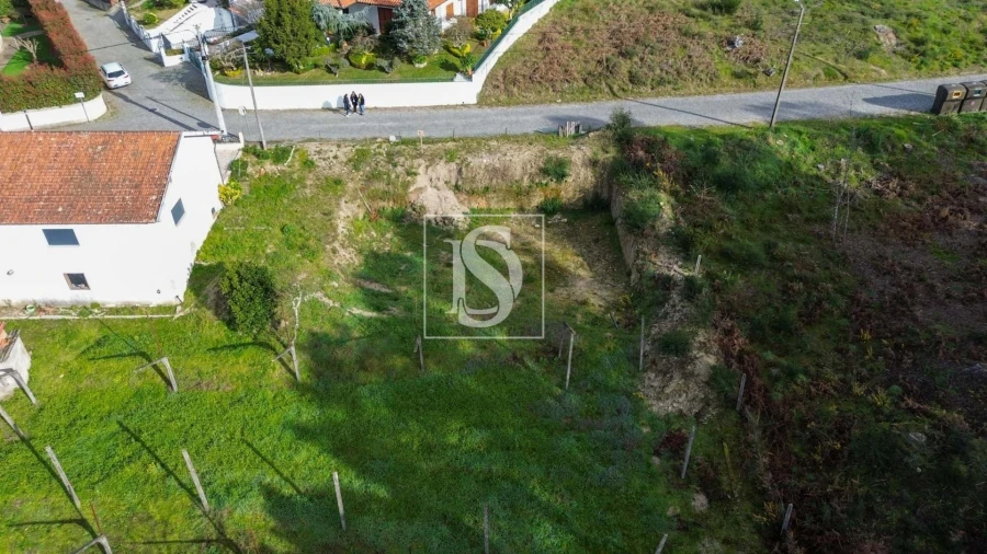 Terreno Agricola ou Rústico para Venda em Amarante (São Gonçalo), Madalena, Cepelos e Gatão Foto 6