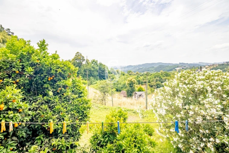 Moradia T3 para Venda em Vila Chã do Marão Foto 26