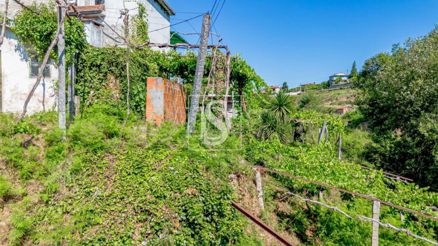 Moradia T3 para Venda em Amarante (São Gonçalo), Madalena, Cepelos e Gatão Foto 40