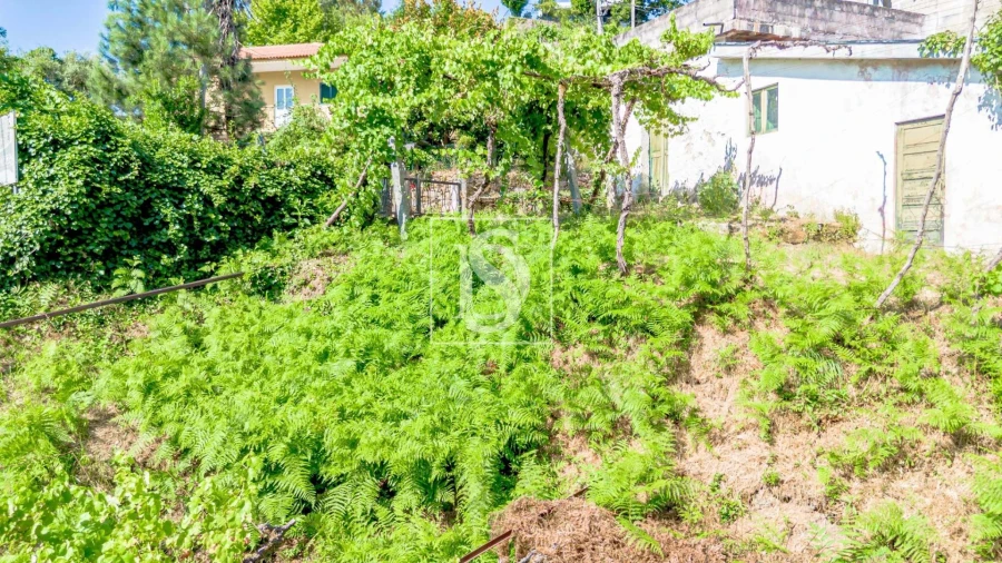 Moradia T3 para Venda em Amarante (São Gonçalo), Madalena, Cepelos e Gatão Foto 41