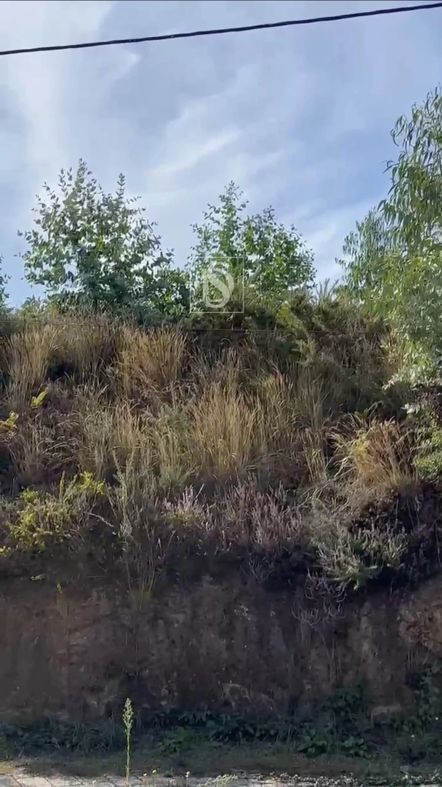 Terreno para Venda em Amarante (São Gonçalo), Madalena, Cepelos e Gatão Foto 2